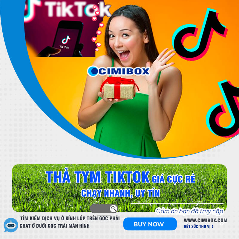 Dich vu mua tym tiktok tha tym tiktok like (1)
